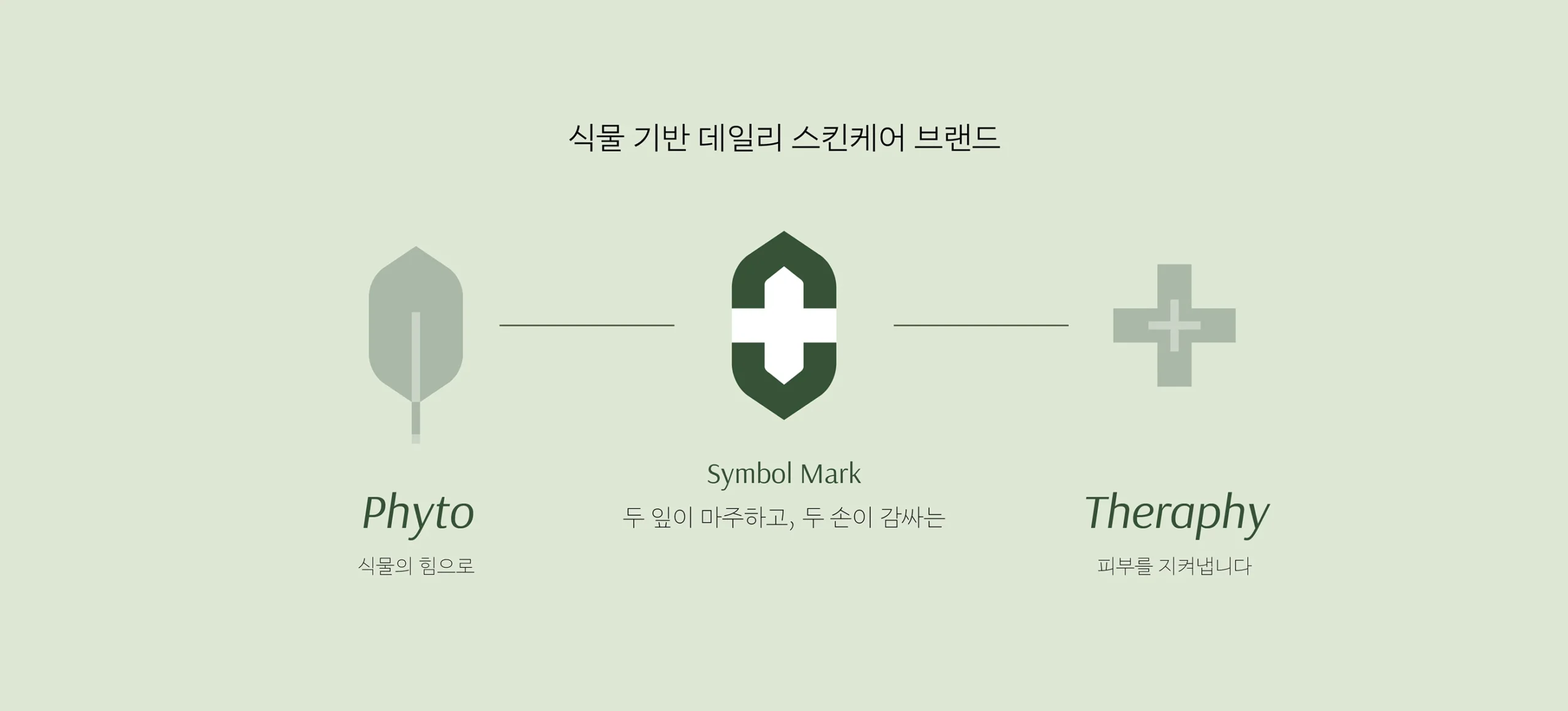 Phytover brand identity 2