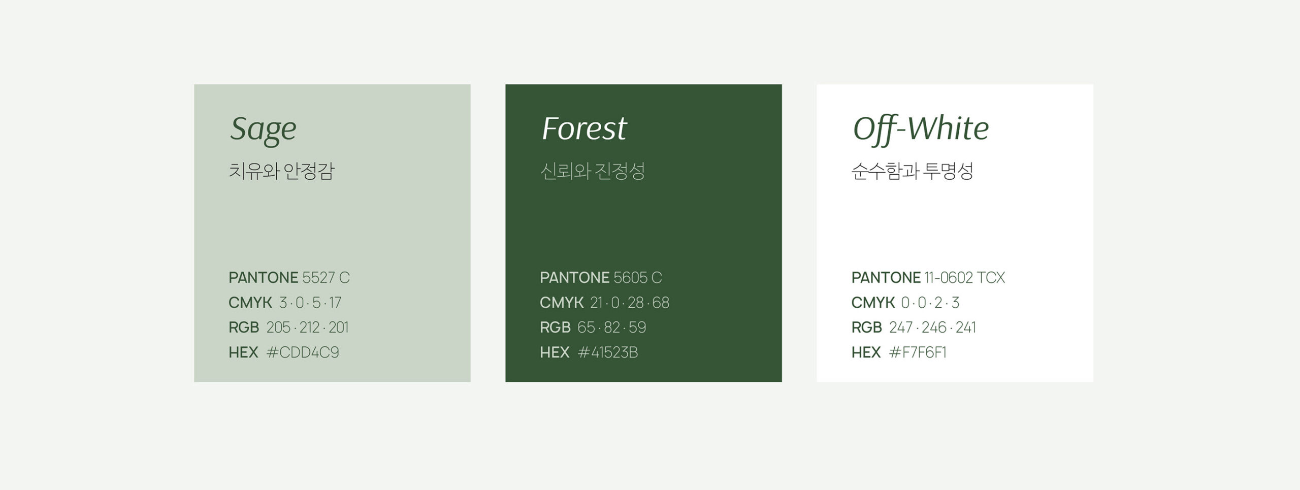 Phytover brand identity 6