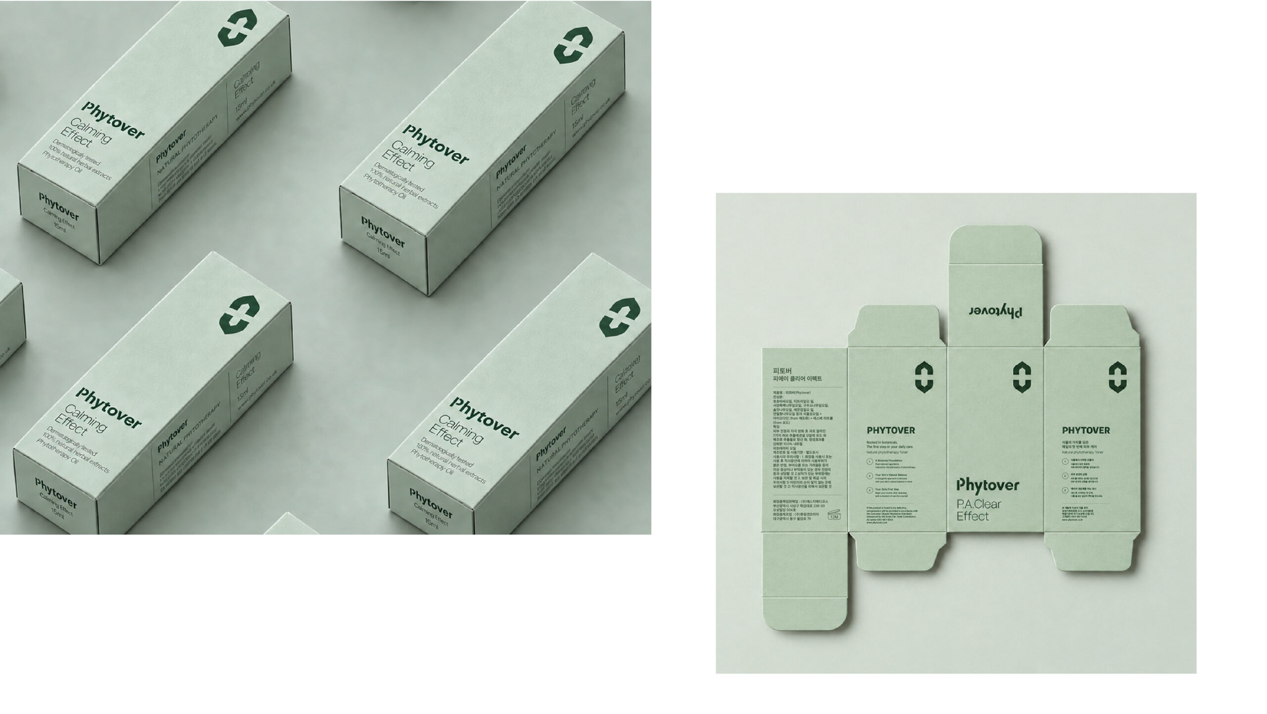 Phytover brand identity 13