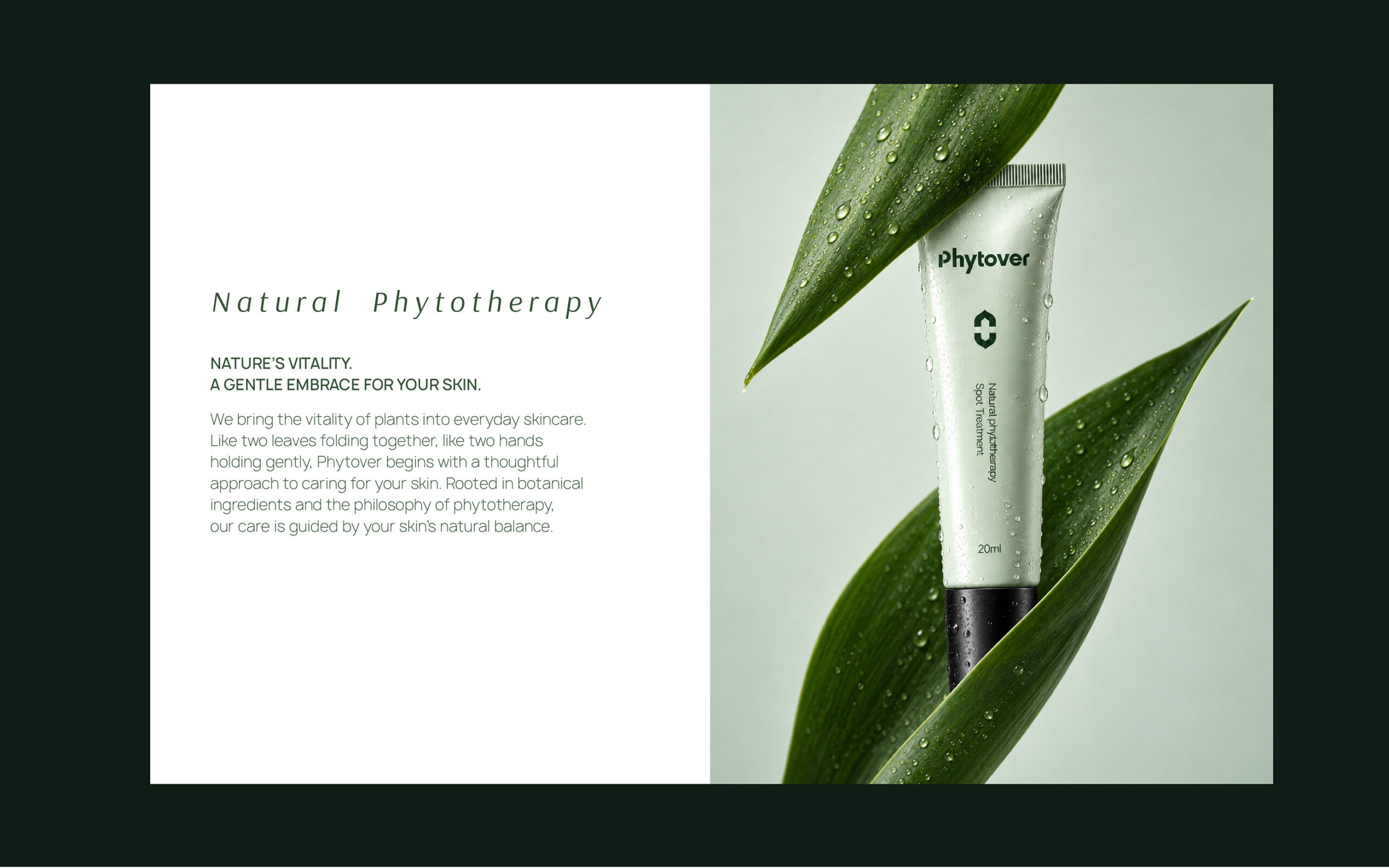 Phytover brand identity 16