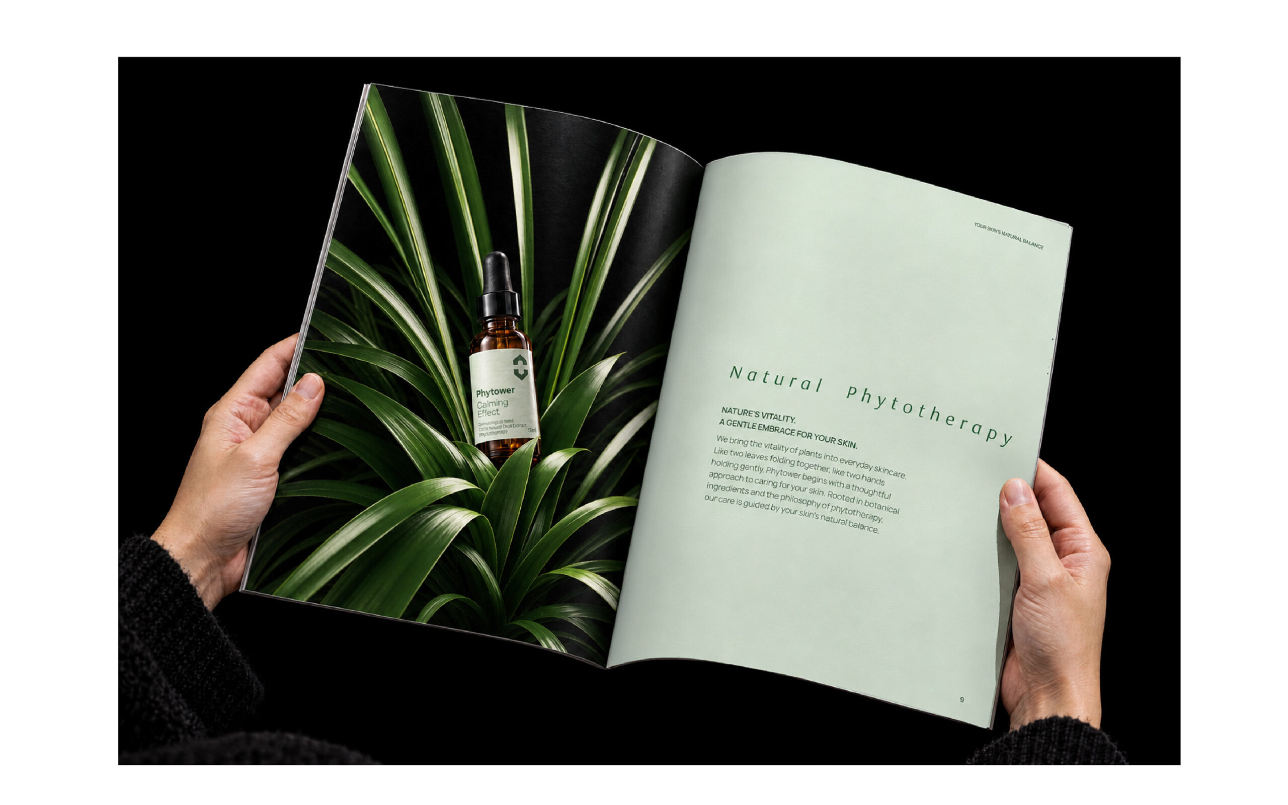 Phytover brand identity 17