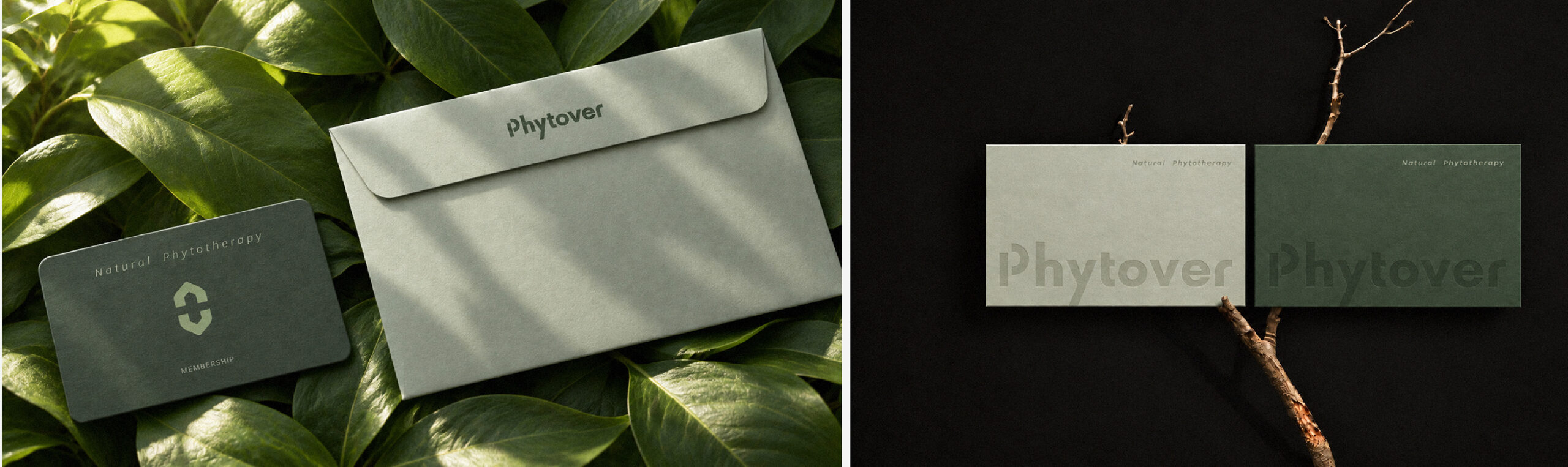 Phytover brand identity 21