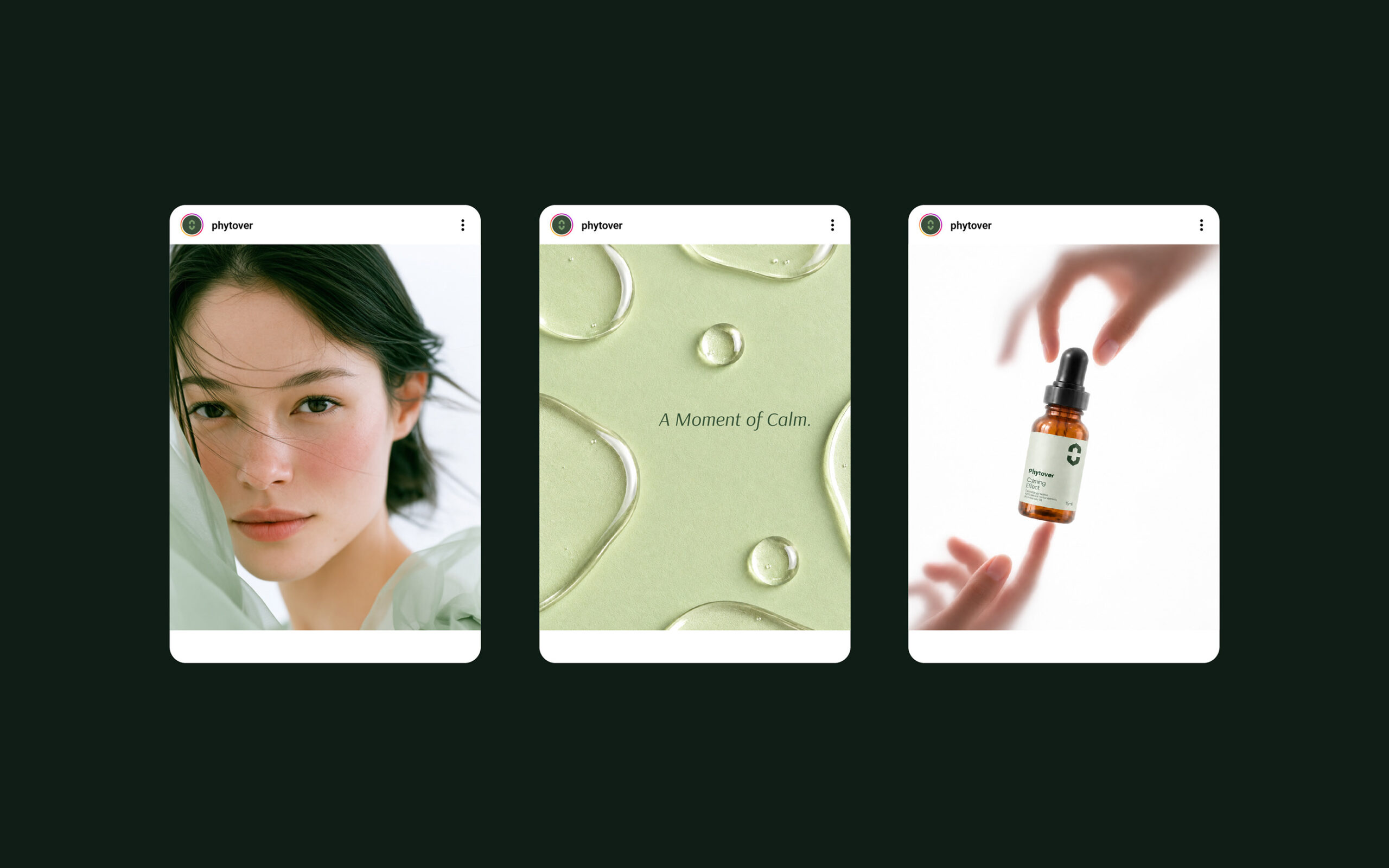 Phytover brand identity 22
