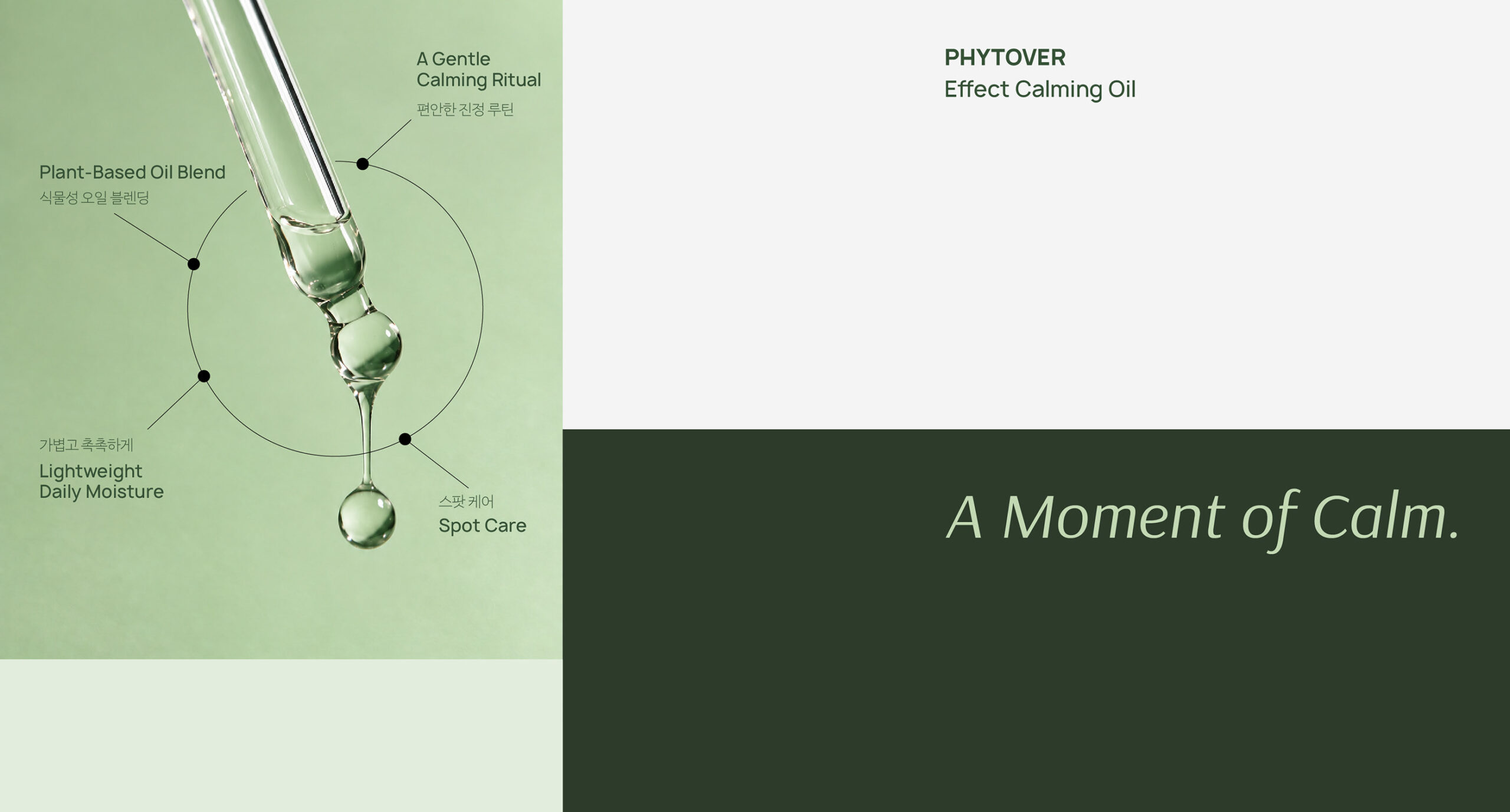 Phytover brand identity 23