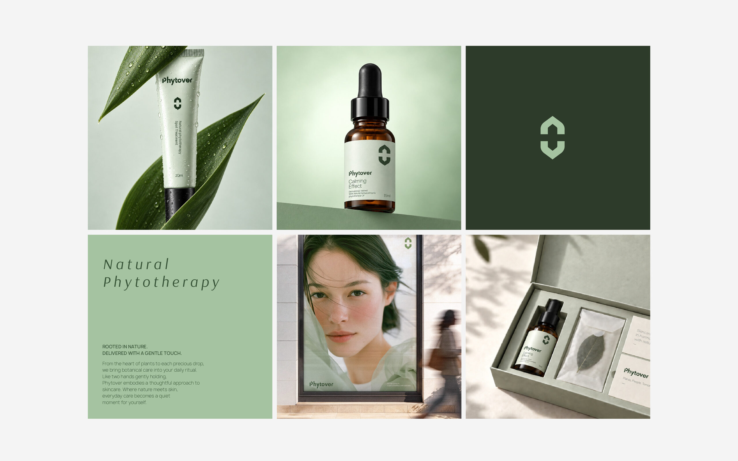 Phytover brand identity 24